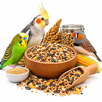 BIRD FOOD / SEED